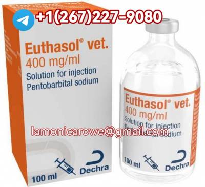 +1267.227.9080. Buy Sodium Pentobarbital 400Mg/Ml Injection In Munich, Hamburg And Cologne Germany