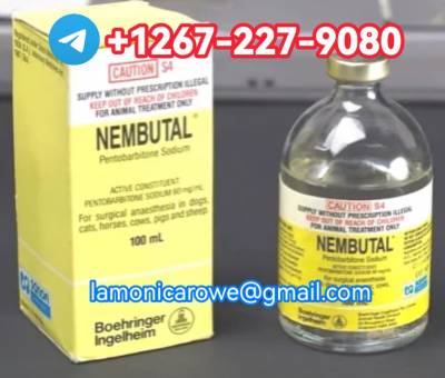 Telgrm+1267.227.9080. Buy Sodium Pentobarbital 400Mg/Ml Injection In Munich, Hmaburg And Frankfurt Germany