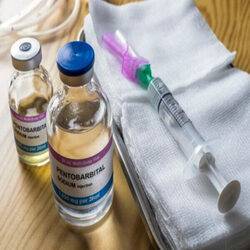 Nembutal Pentobarbital In East London+27 81 850 2816