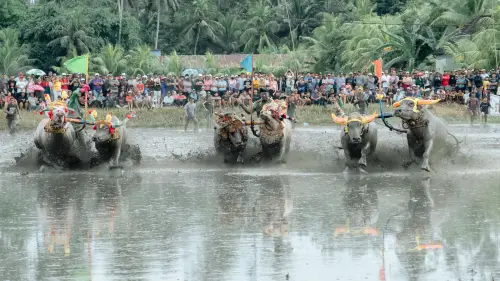 Makepung Lampit 2026
