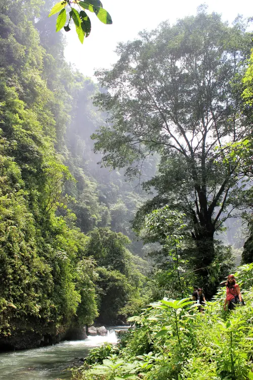 Air Terjun Sekumpul