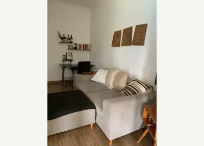 Grey sofa with smaller section — private sale