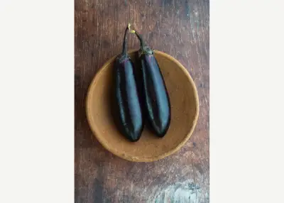 Terong Italian dari kebun Island Organics — Baturiti