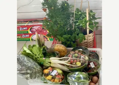 Kotak panen musiman dari kebun PuriTomato Demi — Baturiti