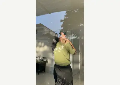 Island Vet: visite veterinarie ordinarie — Berawa