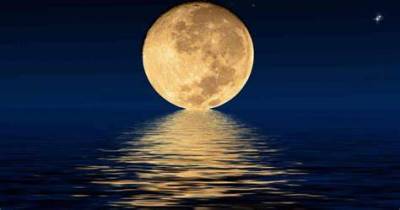 +27833895606 Astrology spiritual Usa Lost love spells in Usa|California|Beligium|Brussels|Cyprus|Nicosia