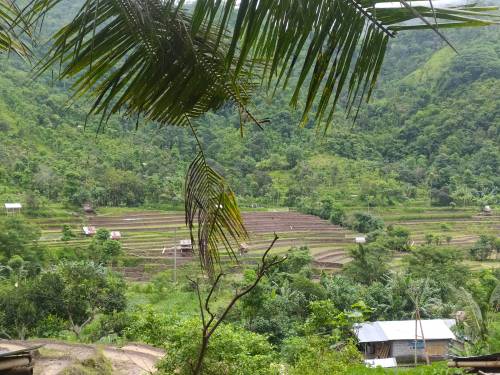 Land with the best rice field view in Amed